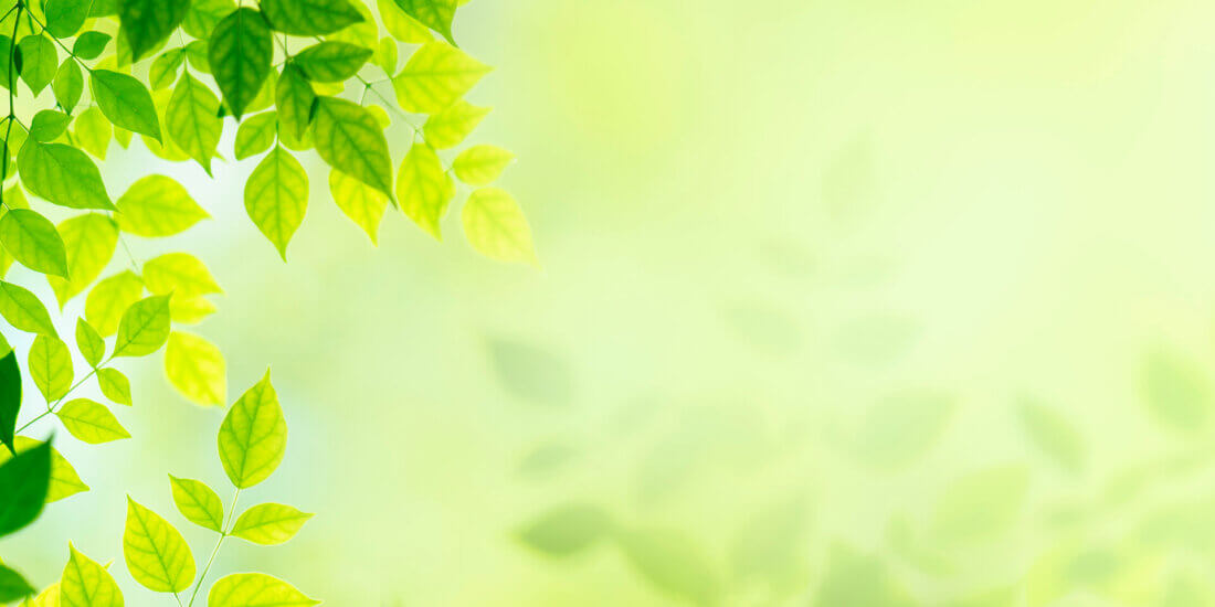 schreiner-group-sustainability-strategy